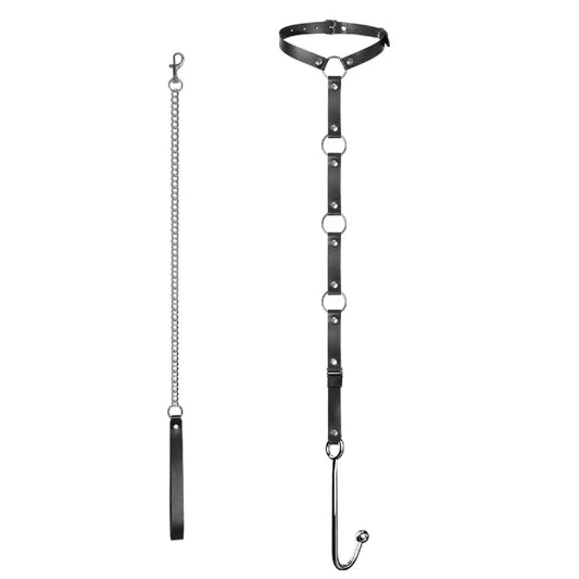Anal Hooks Hook Anal with Kinky Leash EverydayUse and 5853 Collar 0808